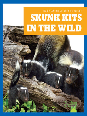 cover image of Skunk Kits in the Wild